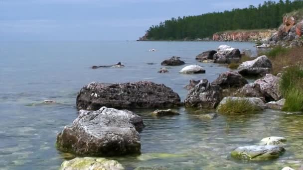 Naturlandskap på bakgrund av gröna träd på steniga kusten av sjön Baikal. — Stockvideo