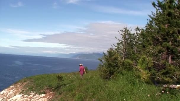 Kayalık kıyı şeridinin arka planında yeşil ağaçlar olan dağ manzarası. — Stok video