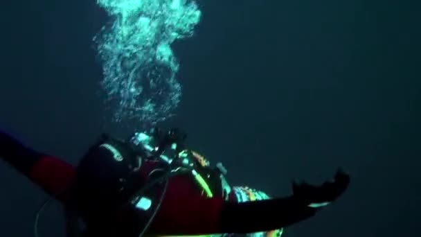 Vacances et plongée sous-marine au Nouvel An près de l'arbre de Noël sous-marin. — Video