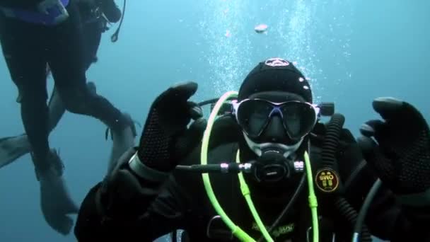 Vacances et plongée sous-marine au Nouvel An près de l'arbre de Noël sous-marin. — Video