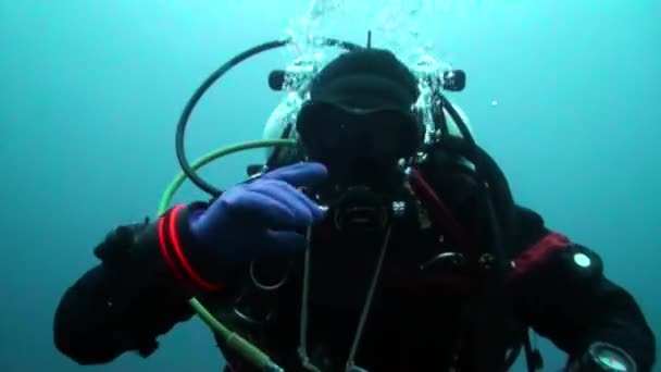 Holiday and scuba diving in New Year near underwater Christmas tree. — Stock Video