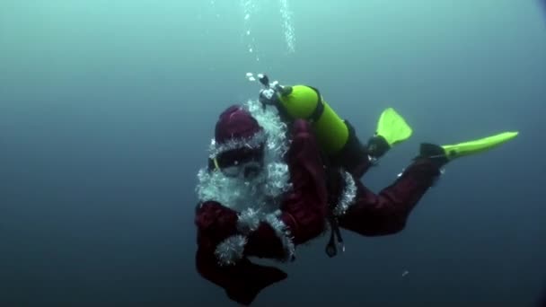 Férias e mergulho no Ano Novo perto de árvore de Natal subaquática. — Vídeo de Stock