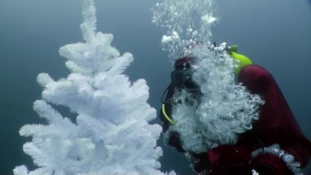 Férias e mergulho no Ano Novo perto de árvore de Natal subaquática. — Vídeo de Stock