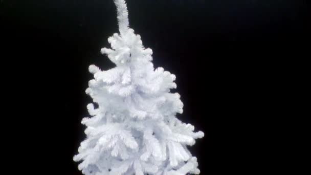 Árbol de Navidad blanco bajo el agua en Año Nuevo en el lago Baikal . — Vídeos de Stock