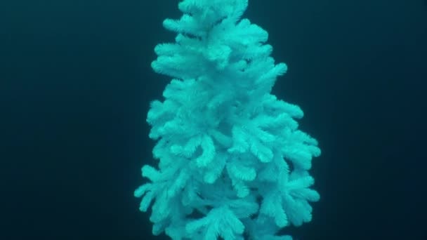 Arbre de Noël blanc sous-marin au Nouvel An dans le lac Baïkal .