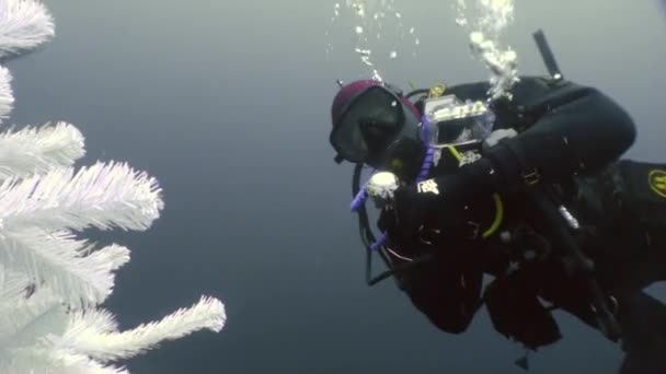 Vacaciones y buceo en Año Nuevo cerca del árbol de Navidad bajo el agua. — Vídeos de Stock