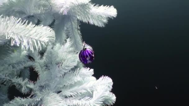 Underwater white Christmas tree in New Year in Lake Baikal. — Stock Video