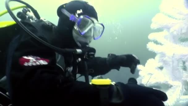 Wakacje i nurkowanie w Nowym Roku w pobliżu podwodnej choinki. — Wideo stockowe