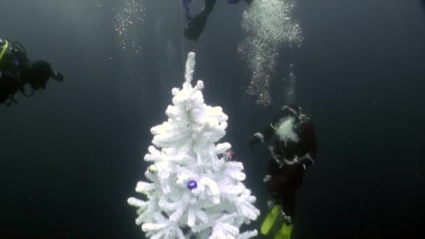 Urlaub und Tauchen im neuen Jahr in der Nähe von Unterwasser-Weihnachtsbaum. — Stockvideo