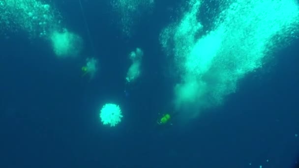 Vacaciones y buceo en Año Nuevo cerca del árbol de Navidad bajo el agua. — Vídeos de Stock