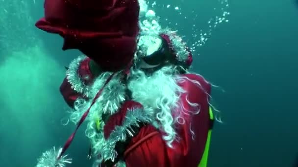 Vacaciones y buceo en Año Nuevo cerca del árbol de Navidad bajo el agua. — Vídeos de Stock