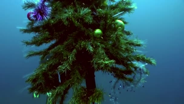 Underwater New Year and diver in Christmas costumes near Christmas tree. — Stock Video