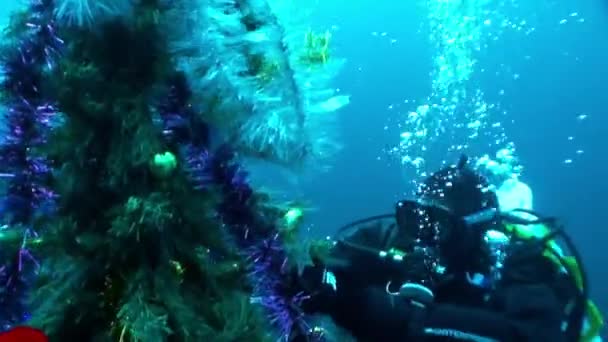 Underwater New Year and divers near Christmas tree. — Stock Video
