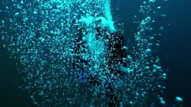 Mergulhador subaquático de Papai Noel nada com vinho no Ano Novo perto da árvore de Natal . — Vídeo de Stock