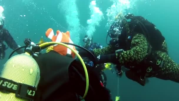 Vacanze e immersioni subacquee a Capodanno vicino all'albero di Natale subacqueo. — Video Stock