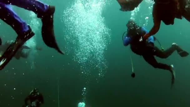 Відпочинок і підводне занурення в Новий рік біля підводної ялинки . — стокове відео