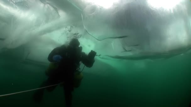 Plongée sous la glace sous l'eau froide du lac Baïkal. — Video