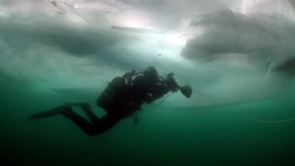 Duiken onder ijs van cameraman onderwater duiker in koud water van het meer Baikal. — Stockvideo