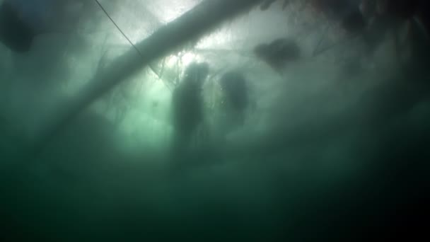 Tournage vidéo sous-marin sous la glace en eau froide de personnes sur la surface de la glace . — Video