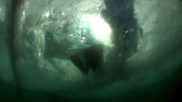 Baykal Gölü 'nün soğuk suyunun altındaki su altı buzu.. — Stok video