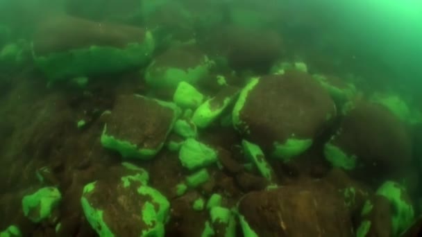 Paisaje submarino de hielo transparente transparente bajo el agua fría del lago Baikal. — Vídeos de Stock