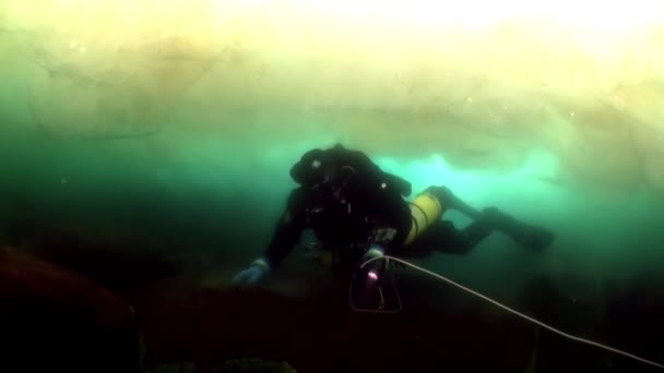 Baykal Gölü 'nün buzunun altında dalmak. — Stok video