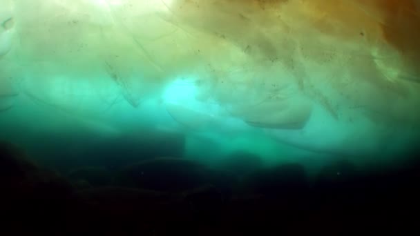 Diving under ice underwater of lake Baikal. — Stock Video