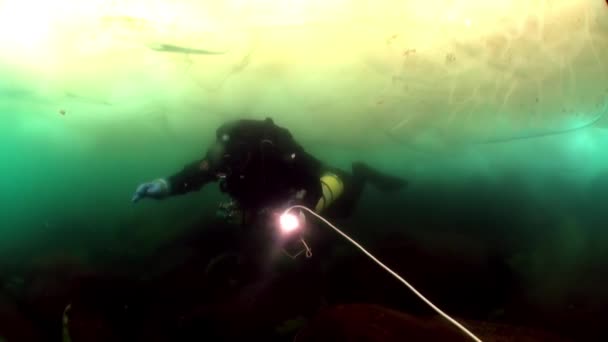 Mergulho sob o gelo subaquático do lago Baikal . — Vídeo de Stock