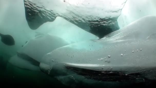 Onderwater ijs onder koud water van het Baikalmeer. — Stockvideo