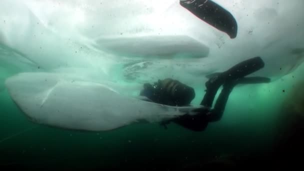 Ακραίες καταδύσεις κάτω από πάγο κάτω από τη λίμνη Baikal. — Αρχείο Βίντεο