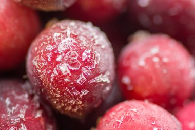 Dondurulmuş çilek portre