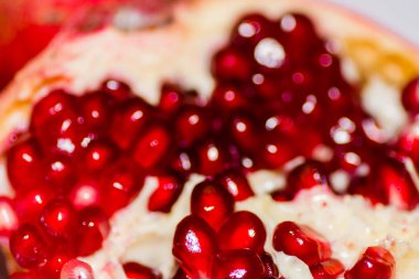 Garnet closeup beyaz