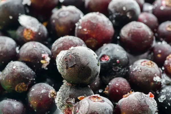 Frutas congeladas closeup — Fotografia de Stock