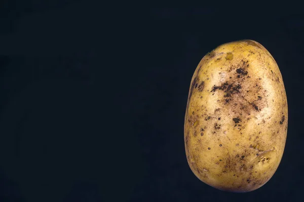 Potatis på svart Stockbild