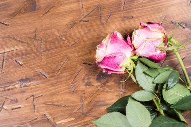 Ahşap üzerinde yükseldi