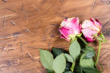 Ahşap üzerinde yükseldi