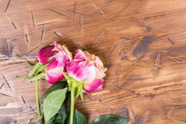 Ahşap üzerinde yükseldi