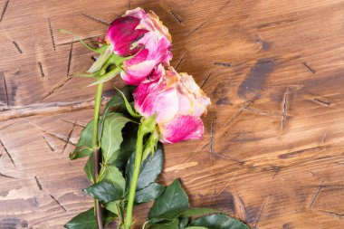 Ahşap üzerinde yükseldi