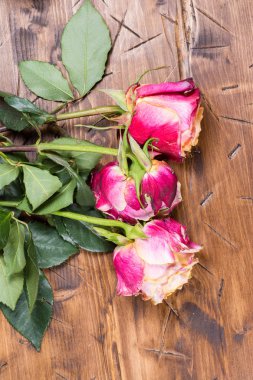 Ahşap üzerinde yükseldi