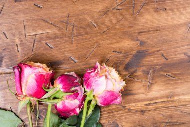 Ahşap üzerinde yükseldi