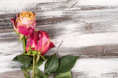 Ahşap üzerinde yükseldi