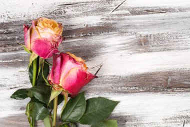 Ahşap üzerinde yükseldi