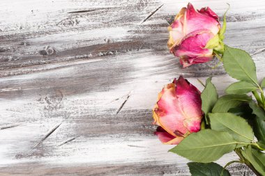 Ahşap üzerinde yükseldi