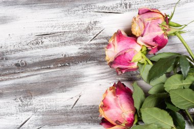 Ahşap üzerinde yükseldi