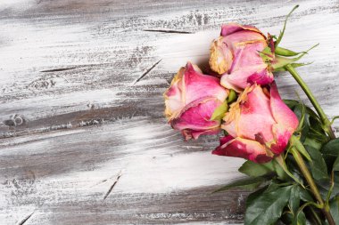 Ahşap üzerinde yükseldi