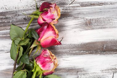 Ahşap üzerinde yükseldi