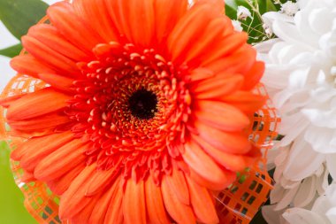 Ahşap üzerinde yükseldi