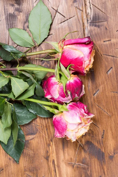 Ahşap üzerinde yükseldi