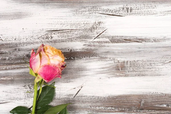 Ahşap üzerinde yükseldi