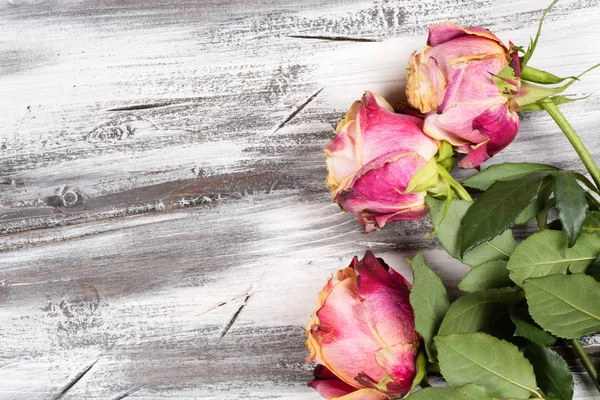 Ahşap üzerinde yükseldi